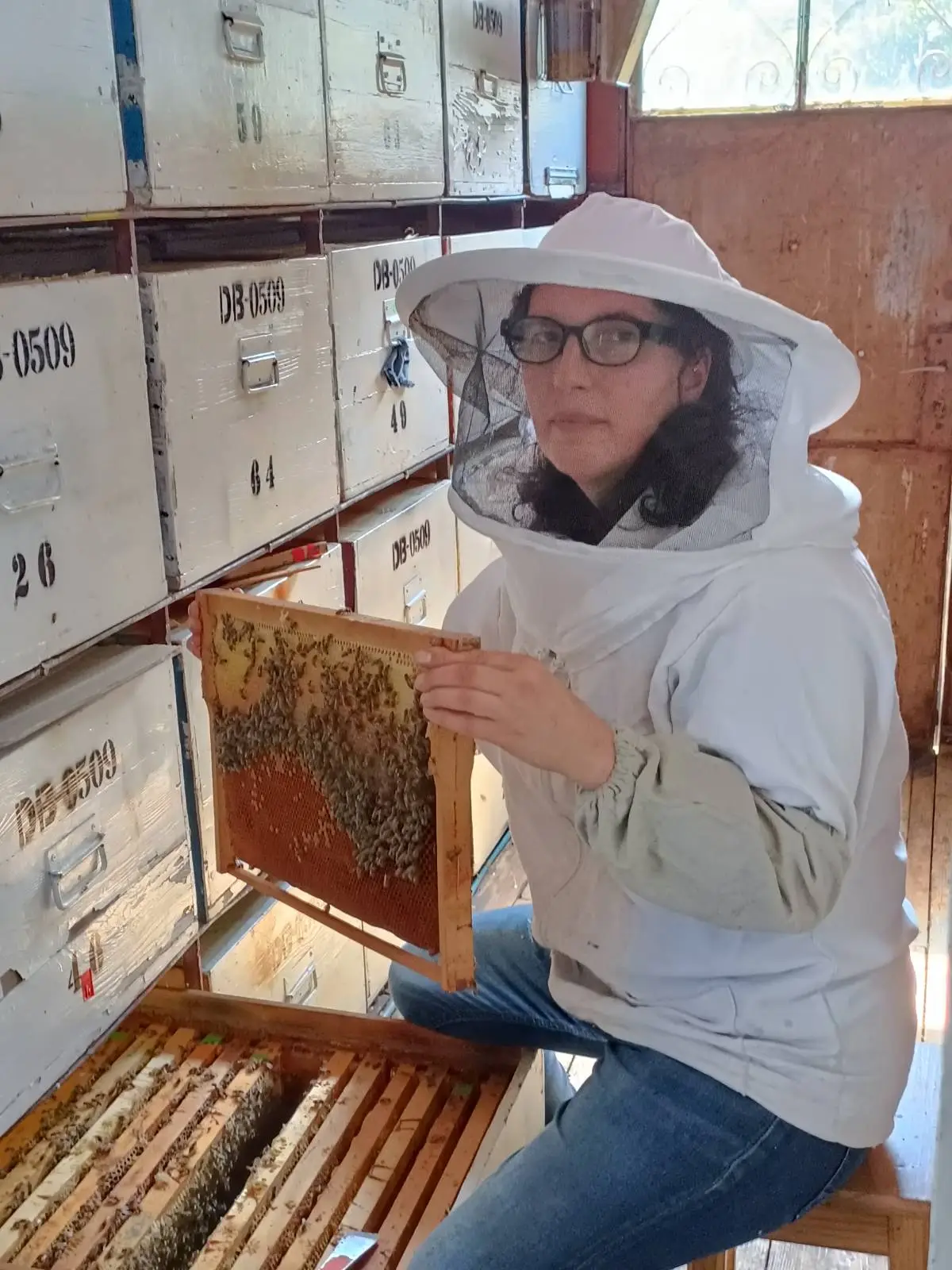 Image of beehives on a truck.