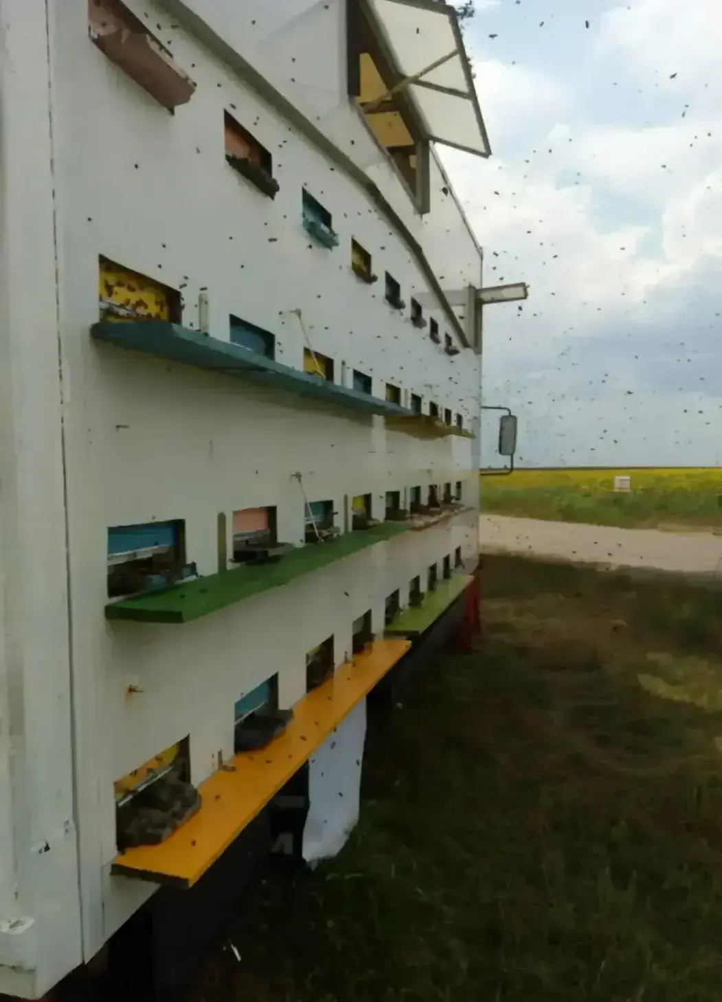 Image of beehives on a truck.